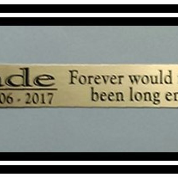 Memorial Brass PIcture Plate