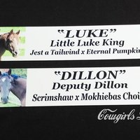 Photo signs 2x8