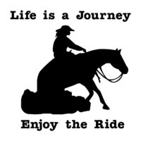 Life is a Journey Enjoy The Ride Lady Reining Horse Decal Vinyl Trailer Mirror W