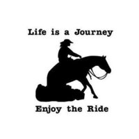 Life is a Journey Enjoy The Ride Lady Reining Horse Decal Vinyl Trailer Mirror W