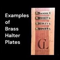 Examples of engraved halter plates