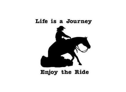 Life is a Journey Enjoy The Ride Lady Reining Horse Decal Vinyl Trailer Mirror W