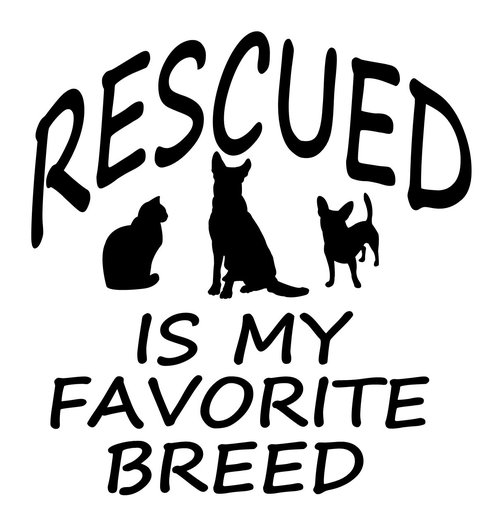 Pet Rescue Vinyl Decal ' Rescued Is My Favorite Breed '