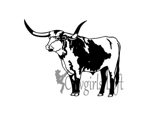 Longhorn cattle - steer decal