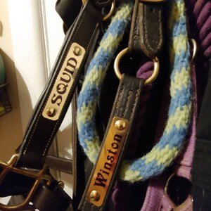 Examples of finished halter plates installed on horse halters