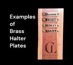 Examples of engraved halter plates
