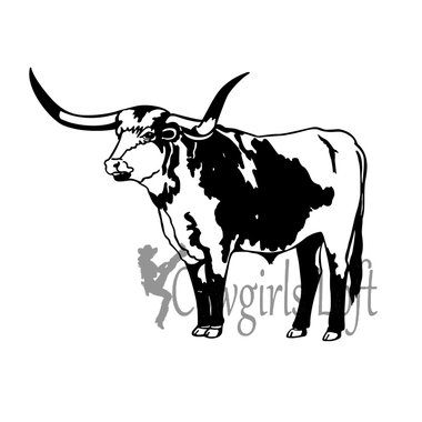 Longhorn cattle - steer decal