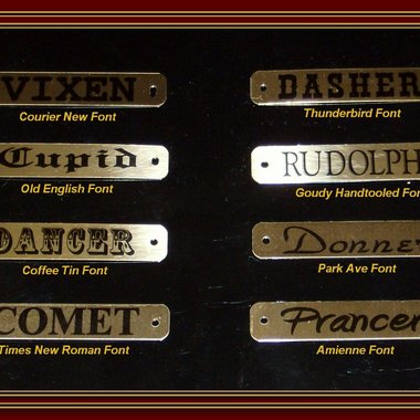 Brass Tags for Horse Halters or Dog Collars
