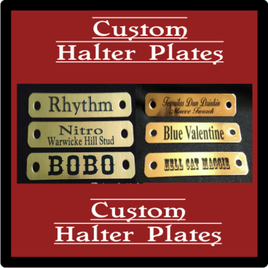 Custom Brass Horse Halter Plate - 5/8" x 3.5" - incl. 1/4" set of Chicago Screws
