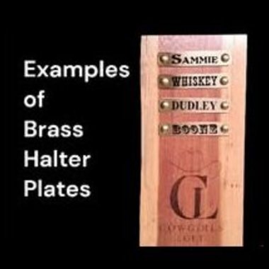 Custom Brass Horse Halter Plate - 5/8" x 3.5" - incl. 1/4" set of Chicago Screws