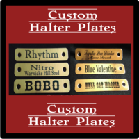 Custom Brass Horse Halter Plate - 5/8" x 3.5" - incl. 1/4" set of Chicago Screws