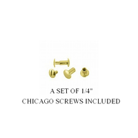 Custom Brass Horse Halter Plate - 5/8" x 3.5" - incl. 1/4" set of Chicago Screws